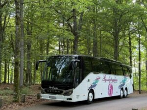 Ryssbybygdens Buss